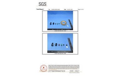 環保測試報告 ROHS+鹵素 CANEC25009106001