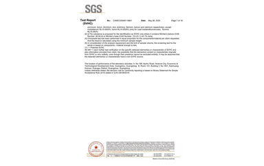 環保測試報告 SVHC CANEC25009119801